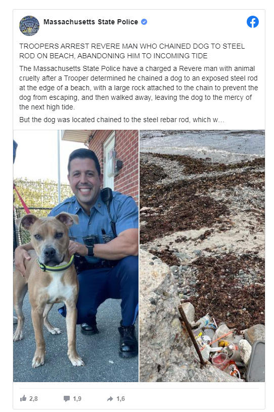 Mass. Man Arrested After Chaining His Pit Bull To A Steel Rod Right Next To The Ocean