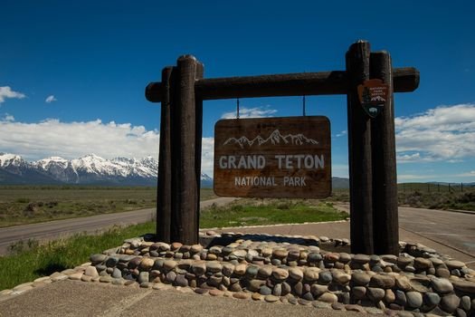 Grand Teton National Park Temporarily Closes Busy Road For Ravenous Bears