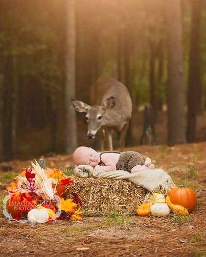 Deer Photobombs Newborn’s Shoot And The Camera Keeps Rolling