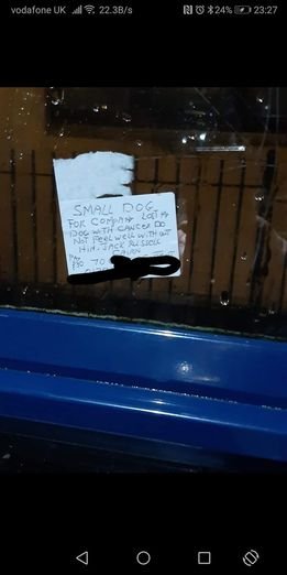 Delivery Driver Finds A Note From A Customer Asking For A Dog Companion