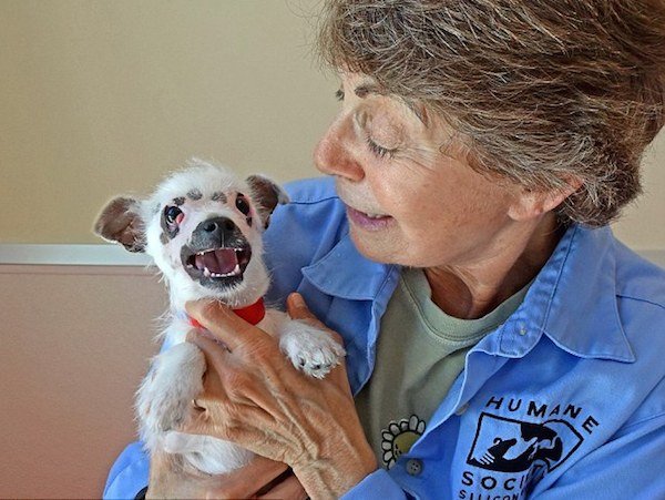 Nobody Wanted This 'Strange Looking' Puppy, Until One Family Stepped Up To Love Her